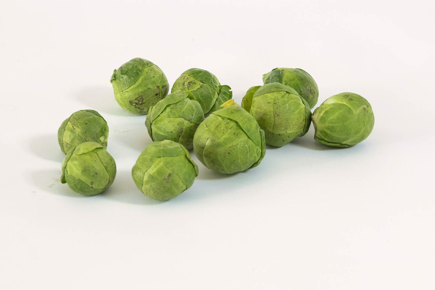 Termoretrazione Vaschetta